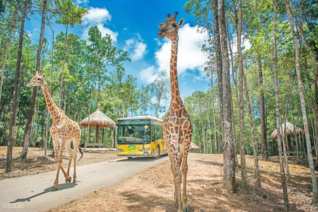 Vườn thú safari tại Hà Nội